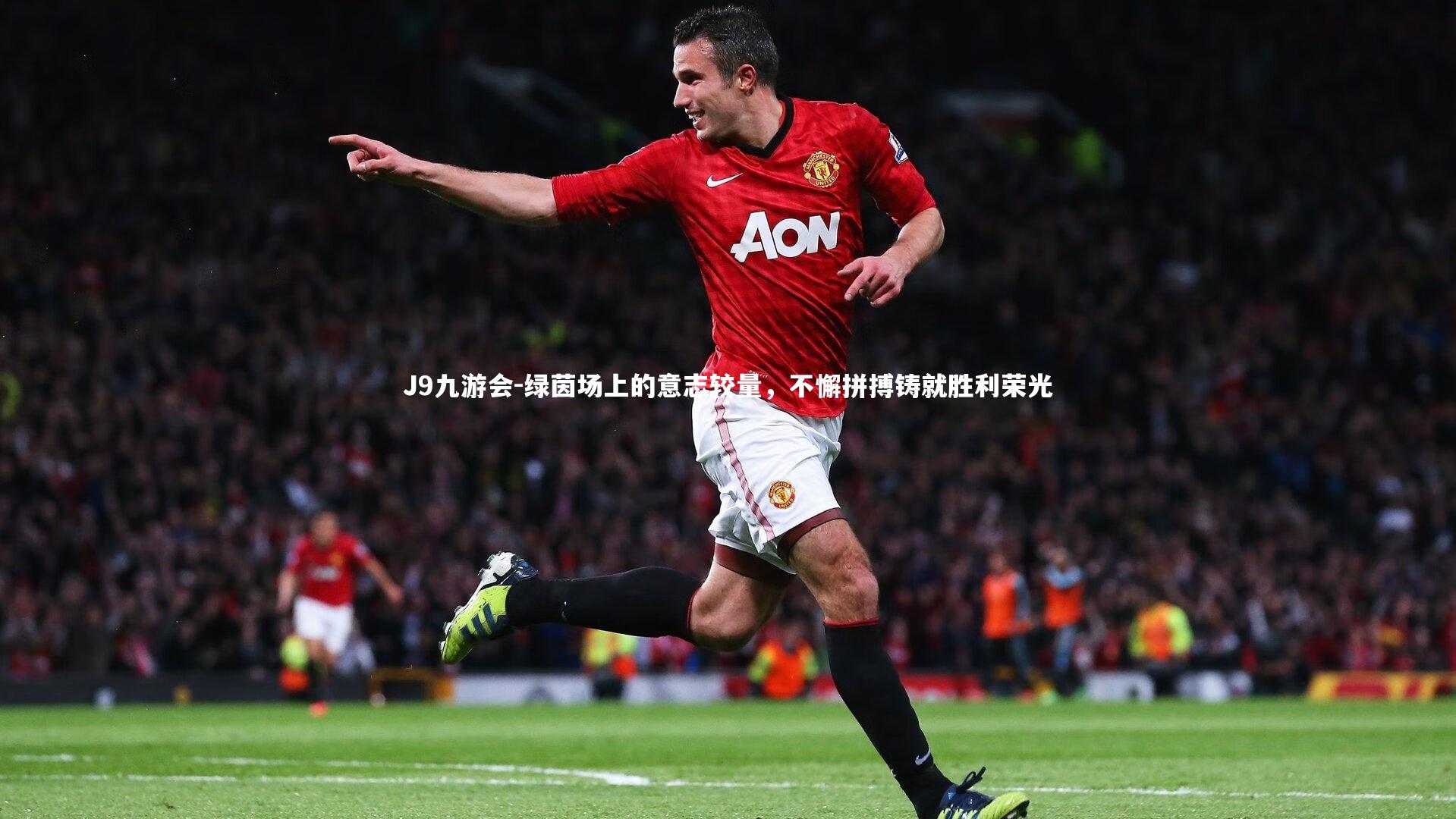 绿茵场上的意志较量,不懈拼搏铸就胜利荣光